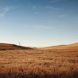 a couple of tall buildings in a dry grass field