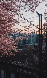 view from high rise balcony in an area with buildings and trees in the background