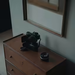 a camera sitting on top of a brown dresser