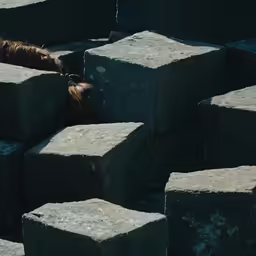 a small horse is standing behind some big stones