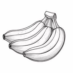 four bananas drawn on white paper in line art style