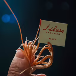 a small seed holding up to an individual