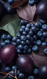 an image of blueberries and plums with leaves