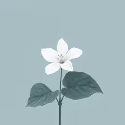 a close up of a flower on top of a plant