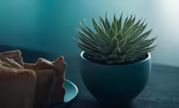 a plate of crackers is next to an artificial potted plant