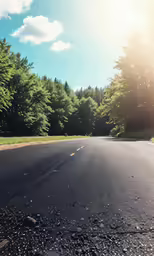 a large tree lined road next to the woods
