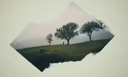 several trees in a mountain landscape with hazy skies