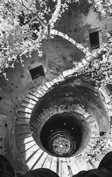 a spiral staircase leading to two windows in a tree