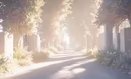 the sun shining through the trees into the streets