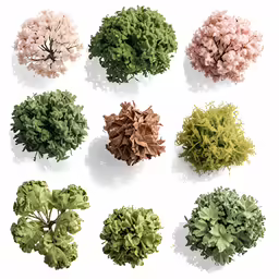 a bunch of plant with leaves and flowers