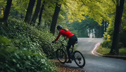 a person riding a bicycle in the forest