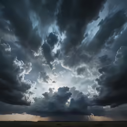 a group of sheep are grazing under dark clouds