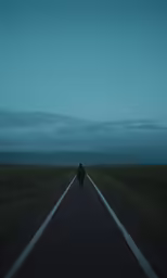 person walking on empty road at twilight or dawn