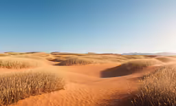 some sand plants and mountains under a blue sky