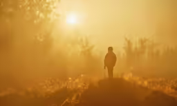 a person stands on top of a hill in the fog