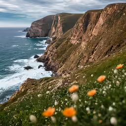 orange and white flowers are growing in front of the cliffs