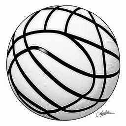 a white and black ball is on a white background,an abstract black and white photo of a ball