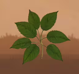 a green leaf sits on a brown background,a painting of a small green leaf on the outside
