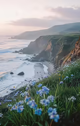 several flowers are on the shore next to the ocean