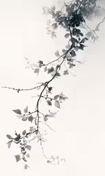 some branches and leaves with no snow on them