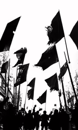 a lot of people holding their flags