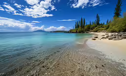 a beautiful clear blue water surrounded by trees and rocks