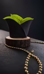 a plant in the center of a round pot on a necklace