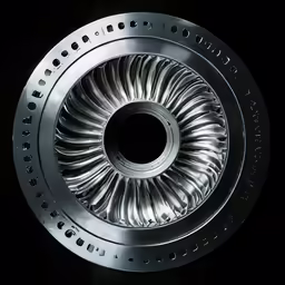 the spoke wheel in the center of a wheel hub