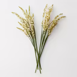 three white flowers and some stems on a table