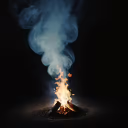 a picture of the burning wood in the night