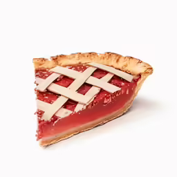 a piece of pie with latticed decoration on it