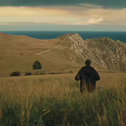a person walking through the grass overlooking a large mountain