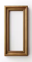 an ornate gold frame on the wall
