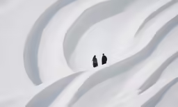 two people walking in a long row of large mounds of snow