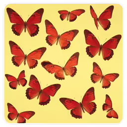 many red butterflies are shown in this image