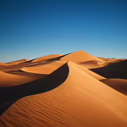 an area that looks like a vast expanse of sand