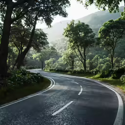 a winding curvy road with trees on both sides