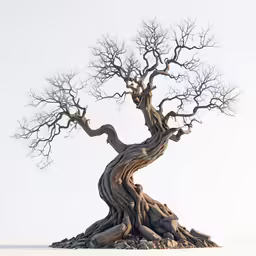 an old, twisted tree with a very large trunk