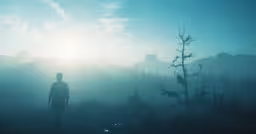 a person walking in a forest on a foggy day