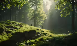 two people on the trail through the woods