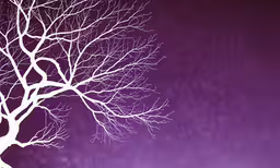 a snow covered tree against a purple background,a tree with branches and no leaves stands in front of a dark purple sky