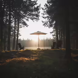 two lawn chairs and an umbrella on grass in front of some trees