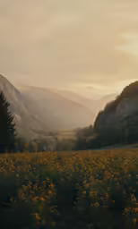 a valley covered in flowers at sunset with hills in the background