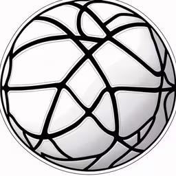 a picture of a glass ball ornament on a white background,a ball with an intricate geometric pattern is shown,a basketball ball is shown in a circular pattern,a round mirror reflecting the pattern of the ball,a white and black basketball with stripes coming out