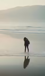 a person walking along the shore at sunset