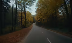 a highway going through the woods at high speed