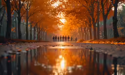 a group of people walking down the middle of a forest with autumn colors
