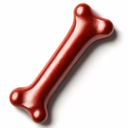 the big red dog bone has been drawn with pencil