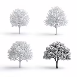 four trees in different variations of white colors on white