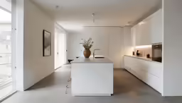 an all white kitchen with potted plants in the middle